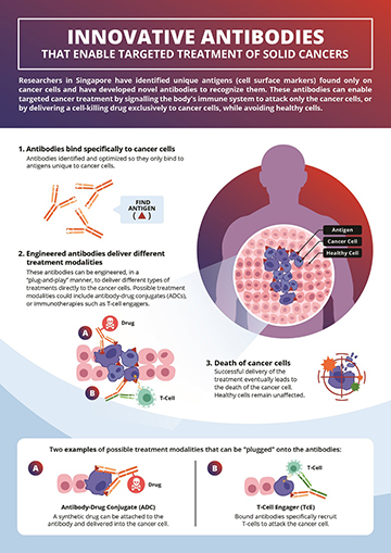 LICENSING AGREEMENT WITH BOEHRINGER INGELHEIM TO DEVELOP TARGETED CANCER THERAPIES