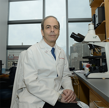 WEILL CORNELL CANCER RESEARCHERS COMMITTED RESEARCH MISCONDUCT, FEDS SAY