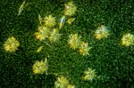 ‘Breakthrough’ could explain why life molecules are left- or right-handed