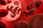 Recent Developments in Science and Health: CRISPR Therapy Approval, NIH Funding Shift, and More