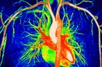 Unveiling Your Biological Clock: Blood Test Reveals Organ Aging and Disease Risk