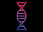 Controversial DNA Analysis Suggests Genetic Link Between Bisexual Behavior and Risk-Taking Traits
