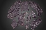 Unveiling Ancient Secrets: Oldest Fossilized Reptile Skin Found in Oklahoma Cave