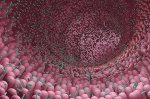Newly Discovered Virus-Like Entities, "Obelisks," Found in Human Gut Microbes