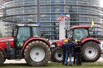 Europe’s Green Legislation Rollback Raises Concern Among Scientists