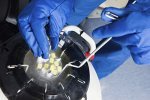 Alabama Supreme Court Ruling on Frozen Embryos Disrupts IVF Procedures and Research Programs
