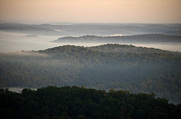Revolutionary Technique: Satellite Signals Gauge Forest Moisture Vital for Survival