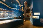 Controversy Surrounds Proposed Changes at South Australian Museum: Scientists Express Concerns Over Research Cuts