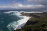 Climate Change Linked to Surge in Deadly Marine 'Cold Spells', Scientists Warn