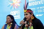 Global biodiversity convention comes up short on funding conservation