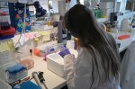 ‘Scienticide’: Argentina’s science workforce shrinks as government pursues austerity