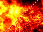 Advancing Microscopy: AI Breakthrough Enhances Super-Resolution Imaging
