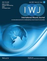 Wiley journal retracts over 200 more papers