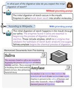 Combatting Misinformation: New Technique Enhances Reliability of Large Language Models