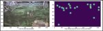 AI Breakthrough: Real-time Manatee Counting to Safeguard Endangered Species