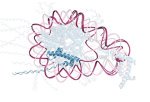 Nature Under Fire for Lack of Code Availability in Google DeepMind Protein Folding Paper