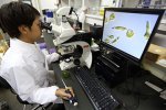 Japan’s Scientists Demand More Funding for Basic Science