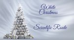 Merry Christmas from Scientific Route OÜ®