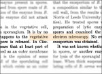 As a nonsense phrase of shady provenance makes the rounds, Elsevier defends its use