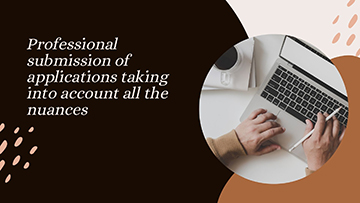 Streamline Your Application Process with Expert Assistance - A Comprehensive Approach to Professional Submission