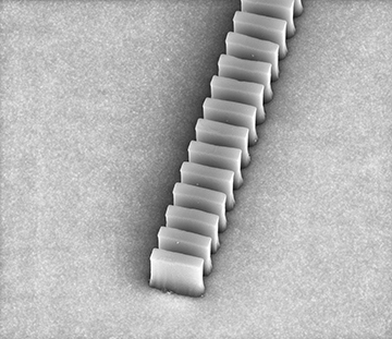 Biochip could detect multiple viruses, cancers, or toxins in minutes