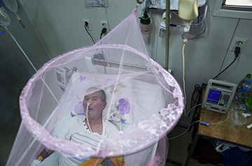 A chikungunya vaccine is nearing approval. Who will get it?
