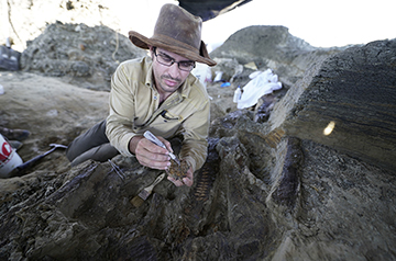 Paleontologist Accused of Research Misconduct in Dinosaur Extinction Study; University Investigation Reveals Poor Research Practices