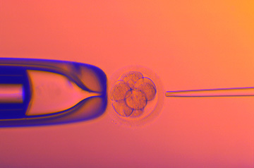 Genetics Group Accuses Company of Misusing Data for Embryo Genome Screening