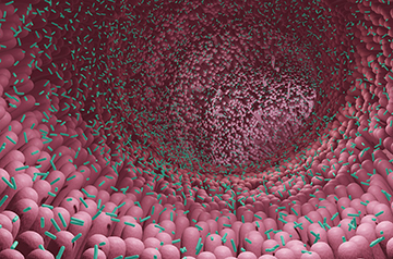Newly Discovered Virus-Like Entities, "Obelisks," Found in Human Gut Microbes