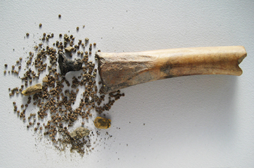 Roman-Era Discovery Unveils Potent Medicinal Artifact