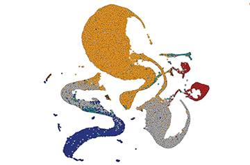 Controversy Erupts Over Representation of Genetic Diversity in Huge Genome Study