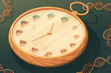 Study Reveals Pregnancy May Accelerate Biological Aging, But Reversal Possible Postpartum