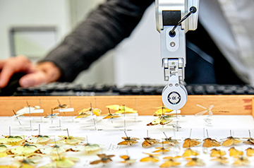 Global Initiative to Digitize Natural History Collections Receives Major UK Funding