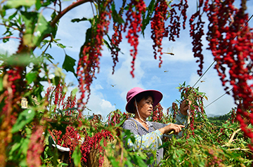 What’s in your food? A new research effort intends to find out