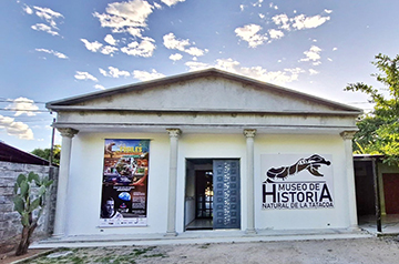 Colombian museum housing scientifically important fossils may close