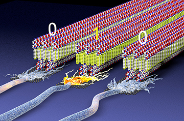 ‘Electric plastic’ could open door to new generation of implants and wearable tech