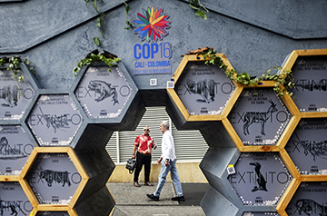 At global biodiversity summit, AI starts to make a splash