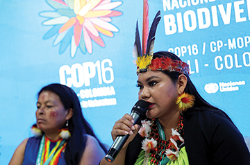 Global biodiversity convention comes up short on funding conservation