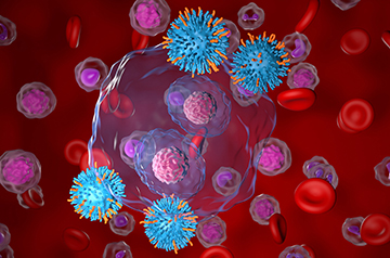 New approach enables body to engineer its own cells to fight cancer or autoimmunity