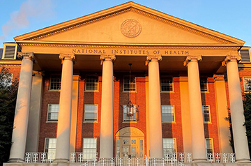 Odds of winning NIH grants plummet as new funding policy and spending delays bite
