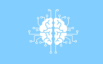 New algorithm improves bipartite matching by mimicking nervous system