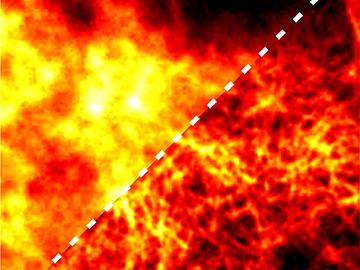 Advancing Microscopy: AI Breakthrough Enhances Super-Resolution Imaging