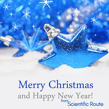 Dear Colleagues!  Merry Christmas! 