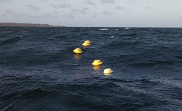 Cutting-Edge Pollution Prediction System Emerges from Estonian Innovation