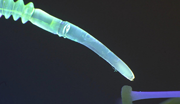 Soft Robotics Inspired by Spider Legs Improves Dexterity of Delicate Movements
