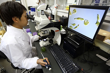 Japan’s Scientists Demand More Funding for Basic Science