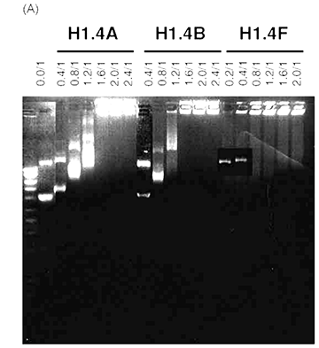 COPE usaldusväärsuse eest vastutav ametnik kaotas 22 aastat vana artikli pildiprobleemide tõttu