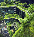 HOW SINGAPORE IS SERVING UP SUSTAINABLE FUTURE-READY FOODS