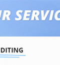 PROFESSIONAL EDITING