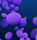 U.S. cases of a deadly fungus nearly doubled in recent years